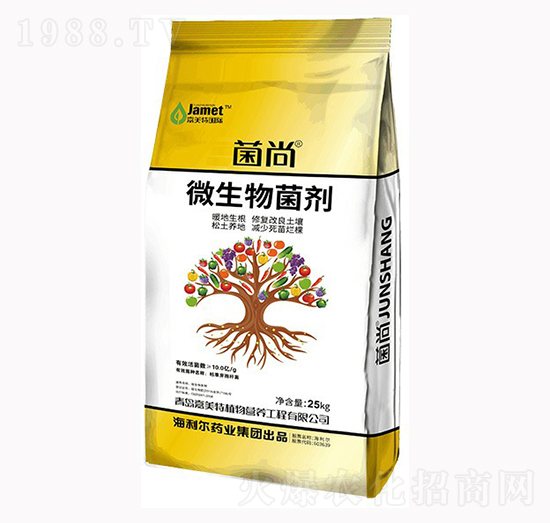 ΢�������-����-������