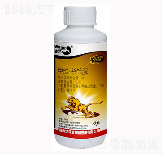 6%�׾S�����-���(l��)-������