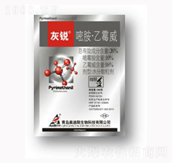 �װ���ù��-���J-������