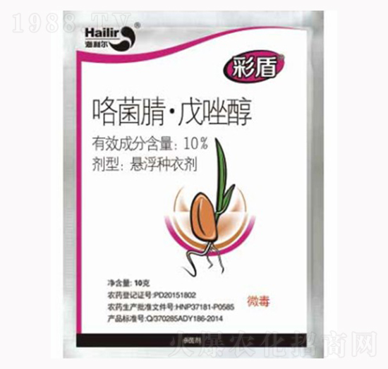 10%����������-�ʶ�-������