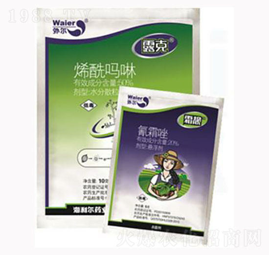 ϩ������+��˪��-˪�n�M��-������