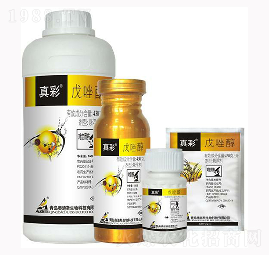 ����-���-������