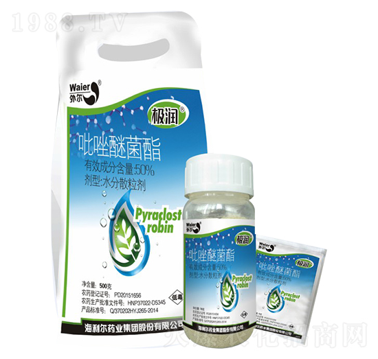 50%�����Ѿ���-�O��-������