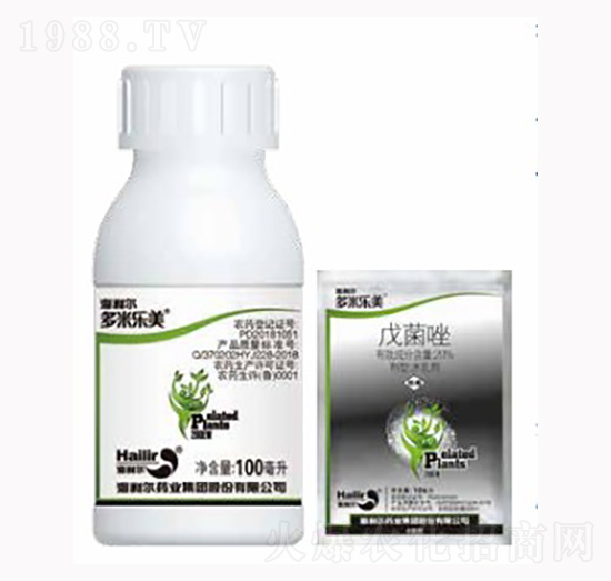 ���ט���-������