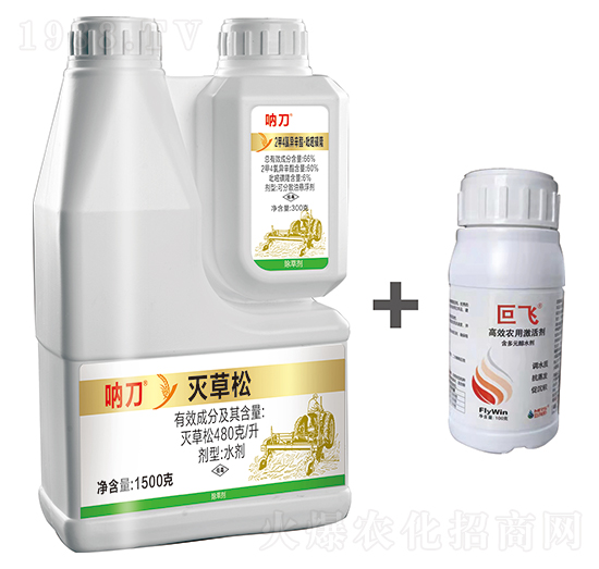 66%�������Ȯ�������������¡+480��ÿ�������+���w-�з�����