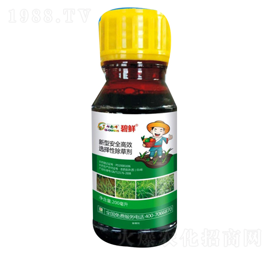 ���r��ѿ����]���݄���-������r