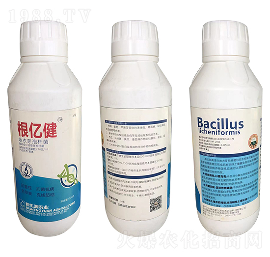 ����ѿ�ߗU��-���|��-�|�r(n��ng)�߿�