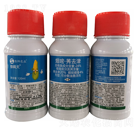 24%���ס�ݬȥ��-ԥ�m��-�S�՘�(l��)