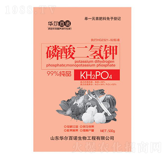 500g��������-�A�����Z