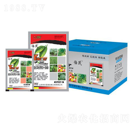 �����G�~��-�A�����Z