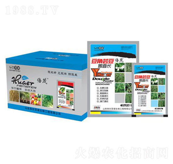 �����|����ֱ�L(zh��ng)-�A�����Z