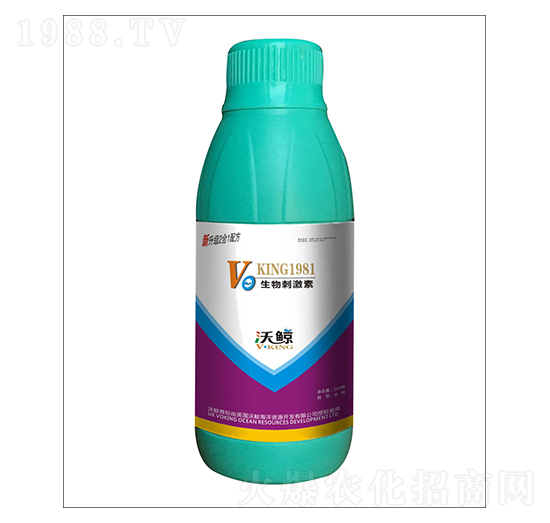 ����̼���-���L