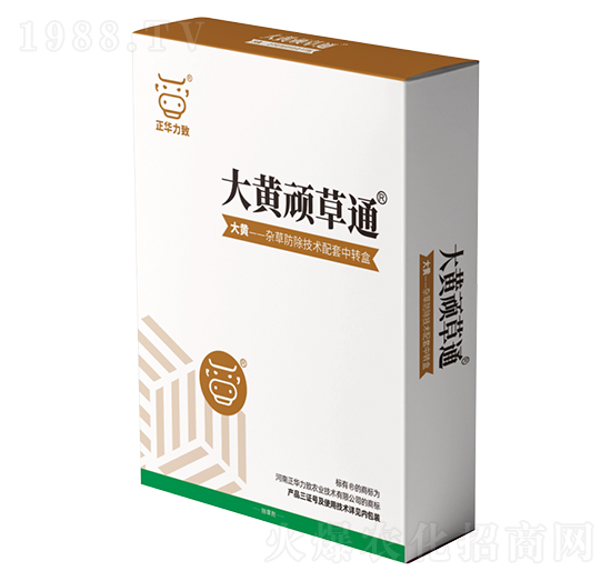 ���S�B��ͨ-���A����