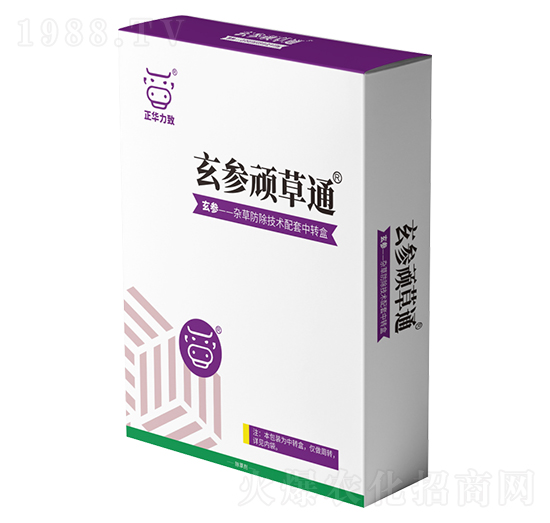 �����B��ͨ-���A����