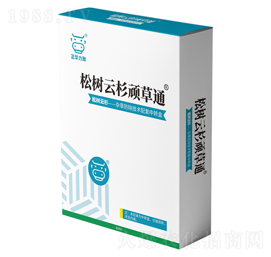 �ɘ���ɼ�B��ͨ-���A����