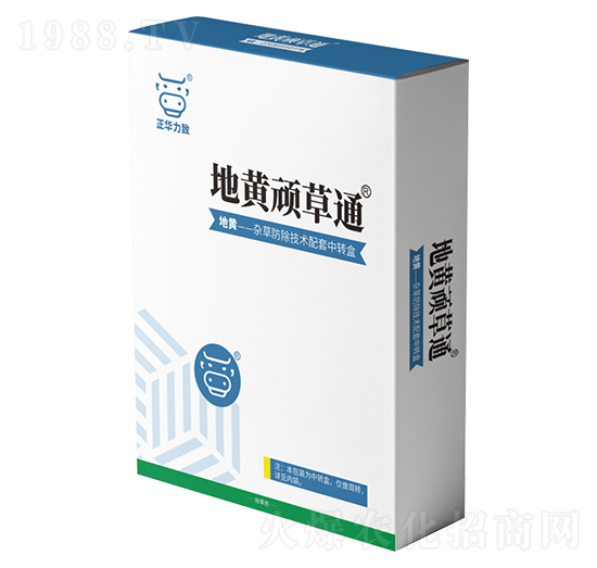 ���S�B��ͨ-���A����