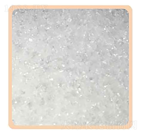 ��������00-52-34-���P����