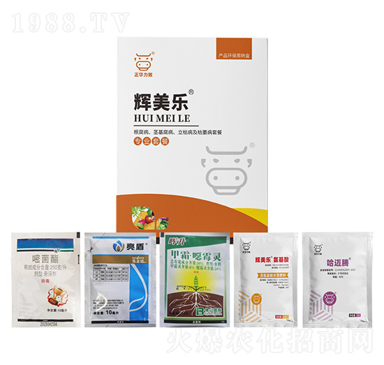 ���������o�����������ݲ�����ή���ײ�-�x����(l��)-���A����