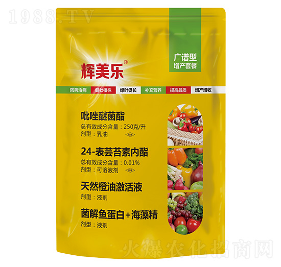 �V�V�����a�ײ�-�x����-���A����