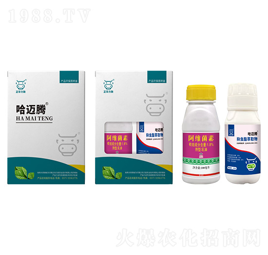 ���~�v���x�ײ�-���A����