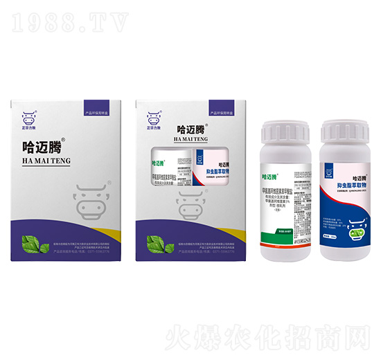 �E�R��(qi��ng)���M���ײ�-���~�v-���A����