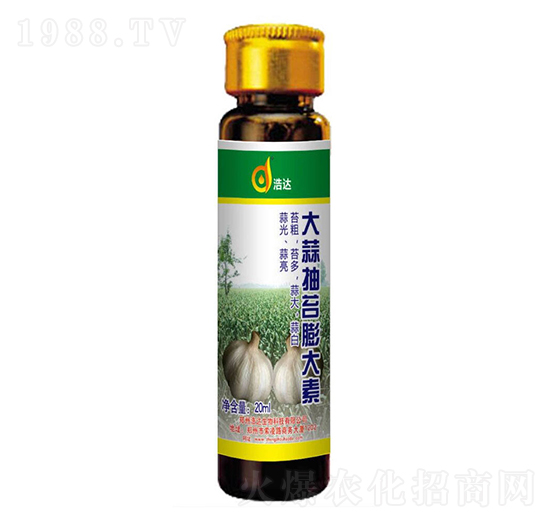 ������_�����-���_����