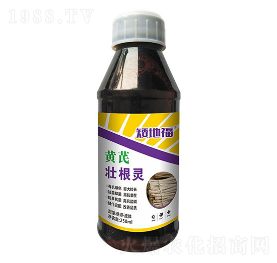 �S�ΉѸ��`-���_(d��)����