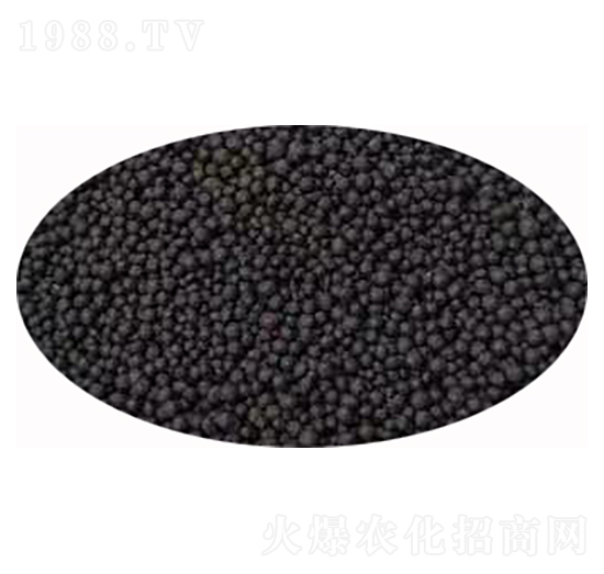 ���{��������-�l(f��)ؔ��