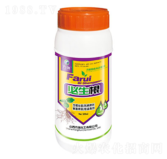 ������-����