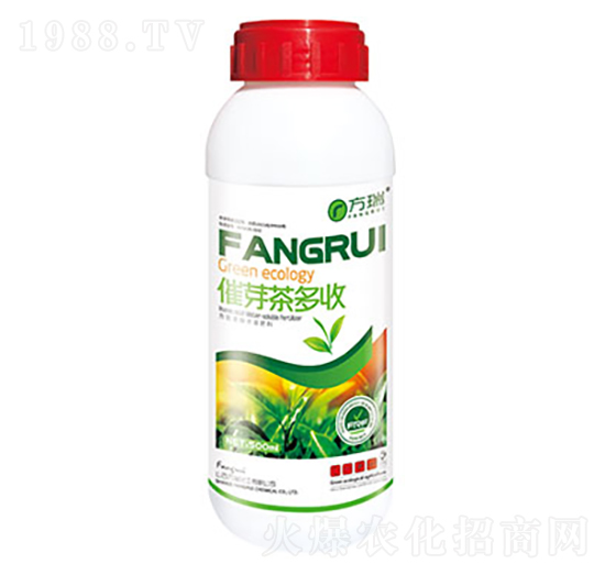 ��ѿ�����-����