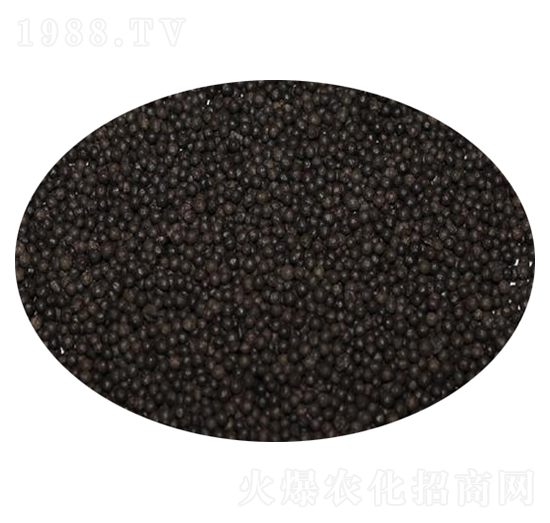 ����ֲ���w��-�P������