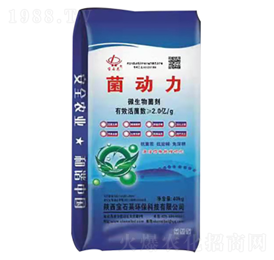 ����(d��ng)��΢�������-��ʯ�R