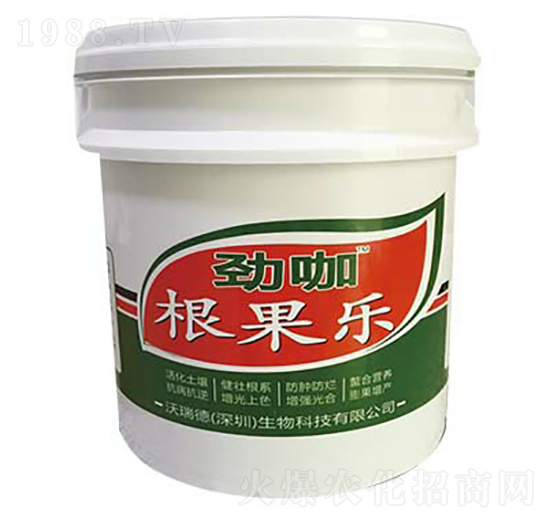 ������-�ſ�-���������