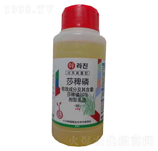 30%ɯ����-�n�ѻ��W(xu��)