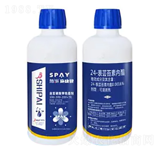 ����������߄�-ʩ����-ʩ������