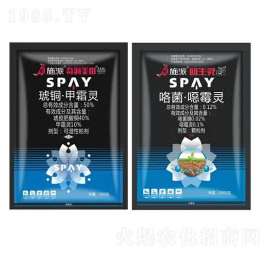 ���à������b-�杙����-ʩ������