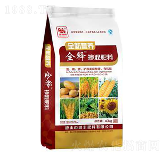 ȫ� I(y��ng)�B(y��ng)ȫጓ������-º�S����