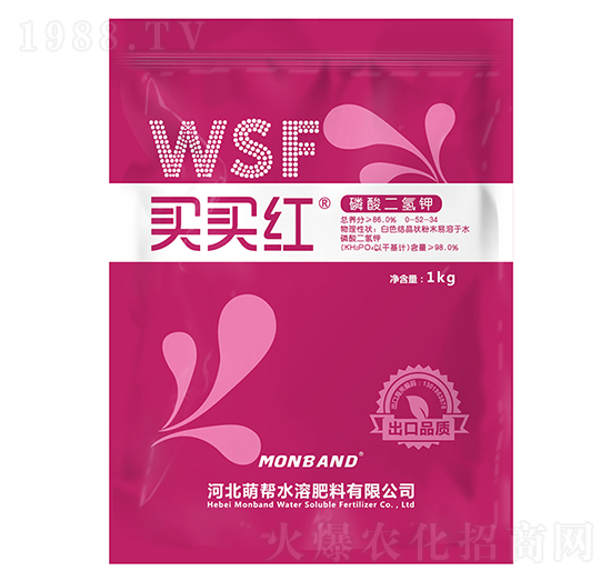 ��������-�I(m��i)�I(m��i)�t-�Ȏ�