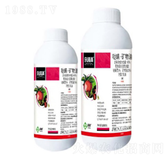 40%�}�����V��������-�s��M-���՘�