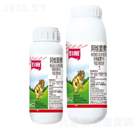 5%���S����΢�鄩-ʥ�S���S-���՘�