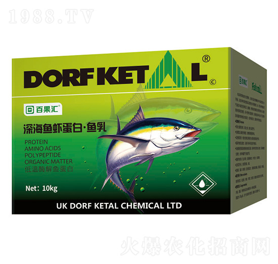 ��~(y��)�r���ס��~(y��)��-����P��