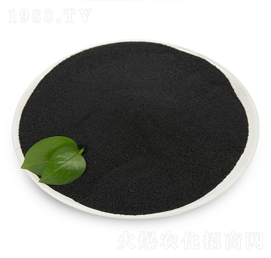 �S����-���B��