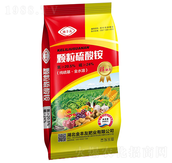 �w�������@-���S��-���S��