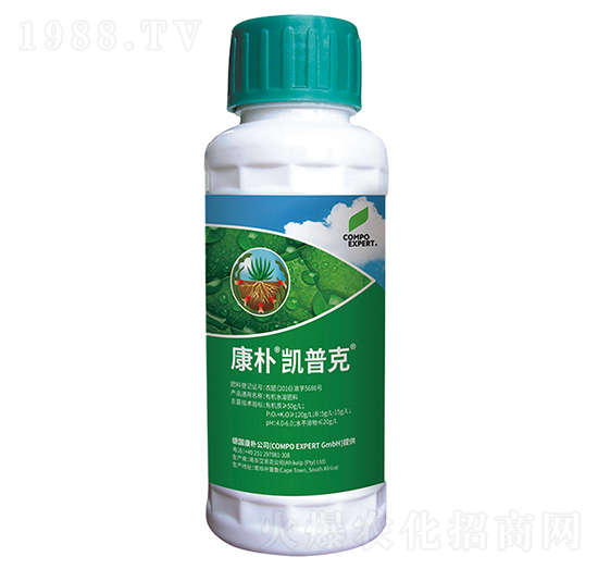 ����P�տ�-����