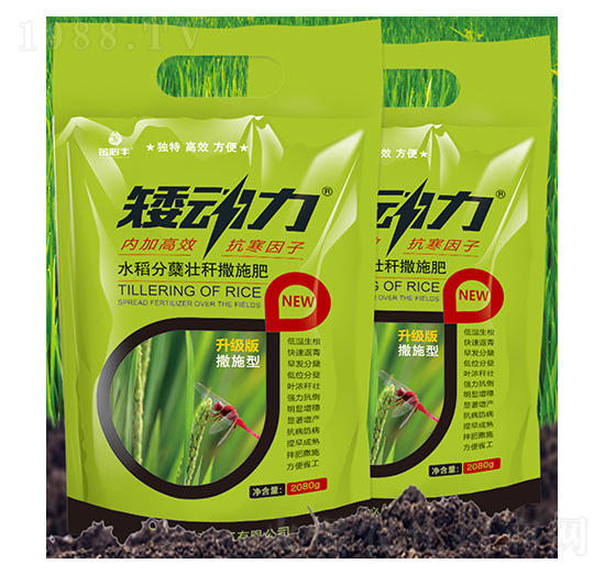 ˮ�����Y�їU��ʩ��-����(d��ng)��-����S