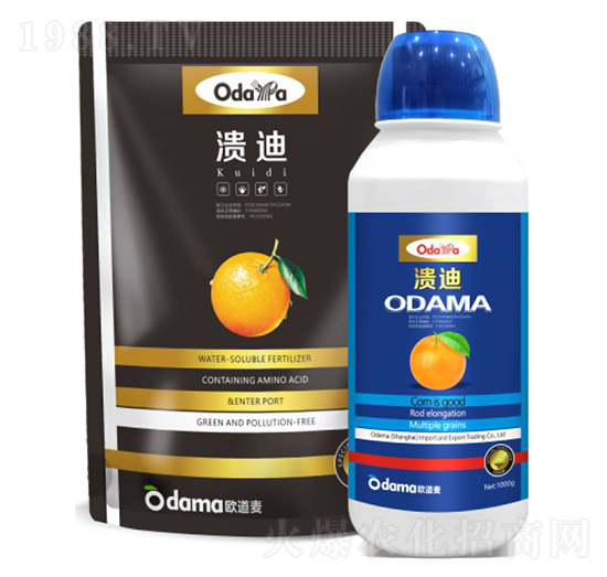 ����-�W����