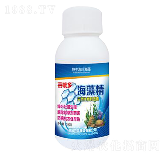 ���徫-�|����-����������