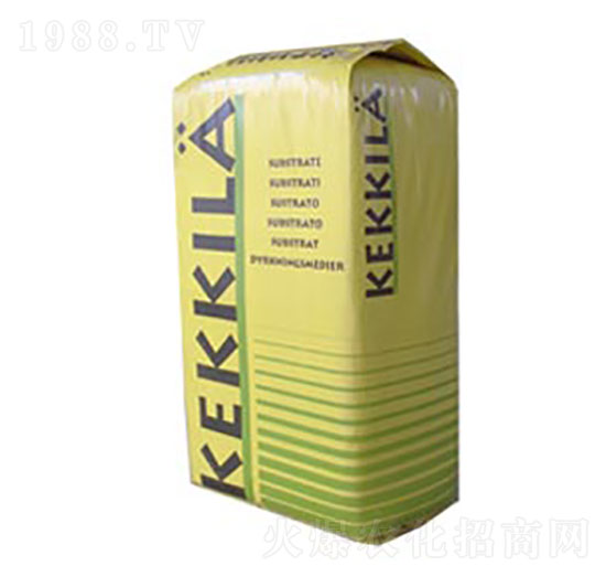 ��̿��-FNAA2-�������r�Q