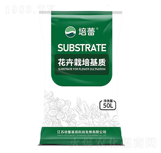 ������ľ������|-����