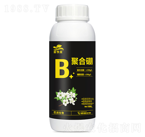 �ۺ���-�琂��-�͝�(r��n)����